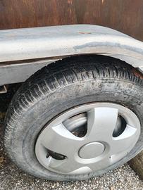 Trailer 1 posto trasporto cavalli