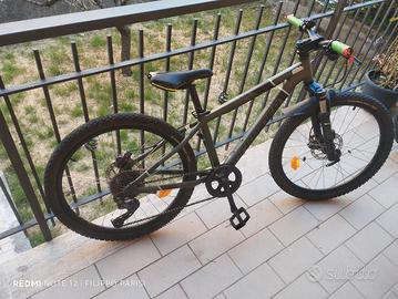 MTB Bambino 24 "