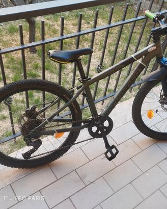 MTB Bambino 24 "