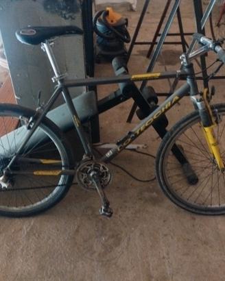 bici botecchia