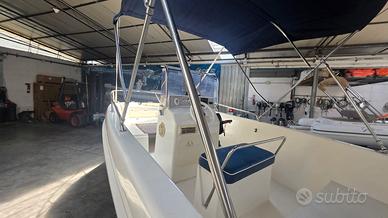 Bellingardo 550