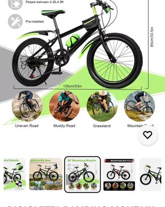 Bicicletta  20 pollici