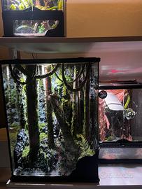 Special exo terra terrari paludari teca rettili