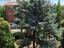 Immagine 26