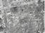 Immagine 11
