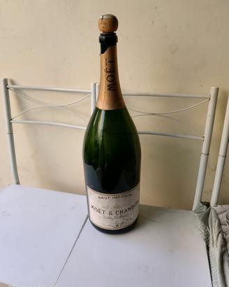 bottiglie spumante moet e chandon 