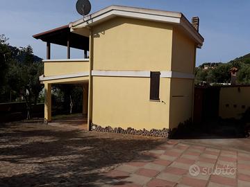 Solanas