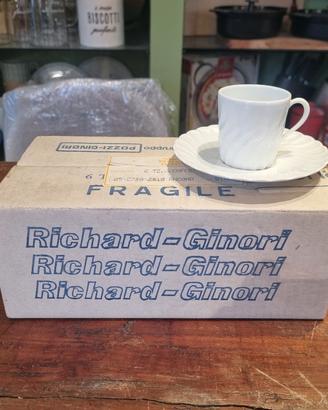 richard Ginori ancona 
