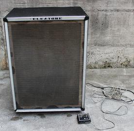 Amplificatore Leslie Elkatone