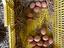 Immagine 4