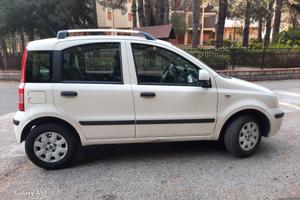 FIAT PANDA 1.3 M.JET 75 CV ANNO 2011 MOTORE NUOVO