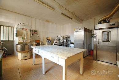 LABORATORIO A LIVORNO FERRARIS