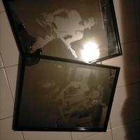 Bruce springsteen 2 quadri serigrafati su vetro