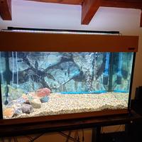 Acquario completo 140 litri 