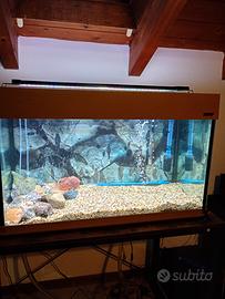Acquario completo 140 litri 