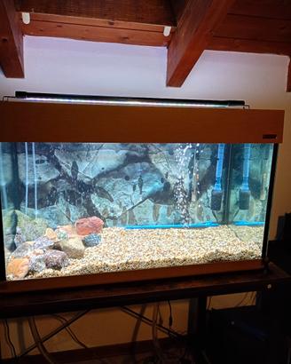 Acquario completo 140 litri 
