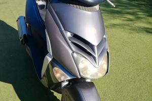 APRILIA LEONARDO 250 ST