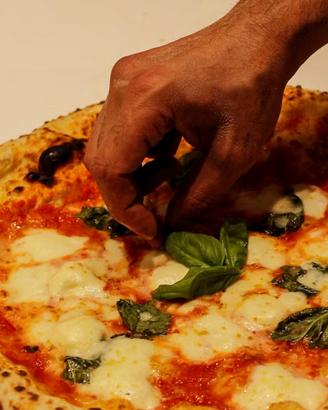 Pizzaiolo esperto