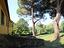 Immagine 16