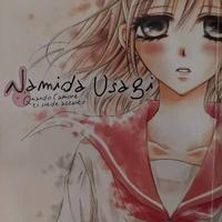 Manga NAMIDA USAGI 1/10 (Serie Completa)