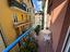 Immagine 6