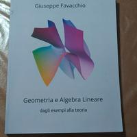 Geometria e Algebra Lineare - Giuseppe Favacchio