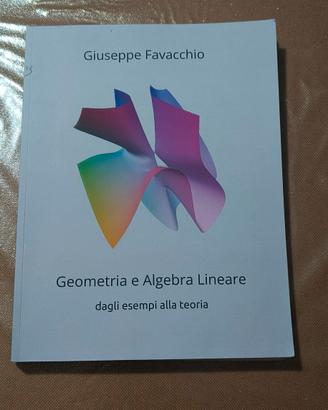 Geometria e Algebra Lineare - Giuseppe Favacchio