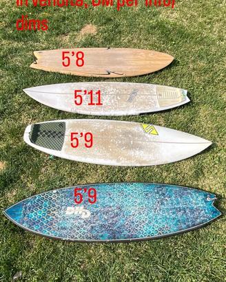 Tavole surf