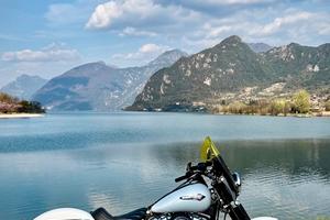 Softail Slim