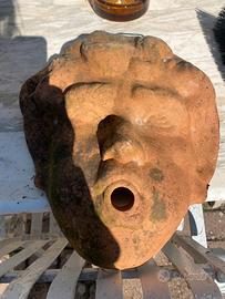 Testa di cotto