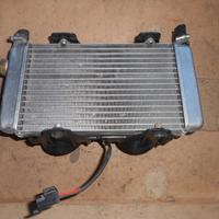 radiatore aprilia atlantic