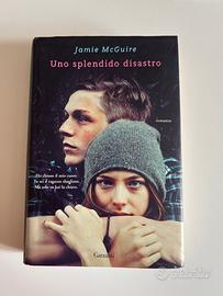 Uno splendido disastro