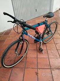 Mountain bike 