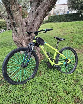 rockrider st100