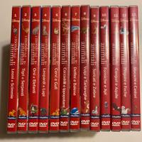 DVD Disney il mondo degli animali