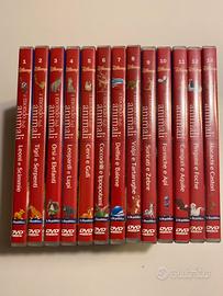 DVD Disney il mondo degli animali