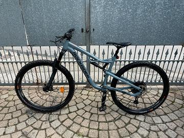 Rockrider Am100s