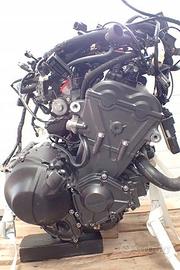 MOTORE Yamaha MT-09 (2024) –  1400 km Swap Quad