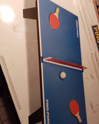 Tavolo da ping pong