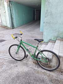 Bici - mountain bike