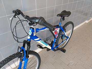 Bicicletta Casadei
