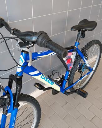 Bicicletta Casadei