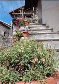 Casetta indipendente