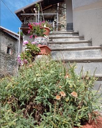 Casetta indipendente