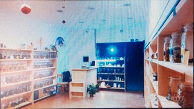 Libreria-scaffali in legno