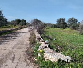 Terreno agricolo