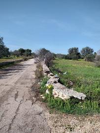 Terreno agricolo