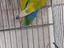 Immagine 2