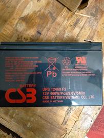 CSB UPS 12460 F2 12V 9,6Ah batteria al piombo.