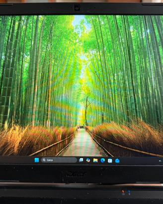 Acer Nitro 5
